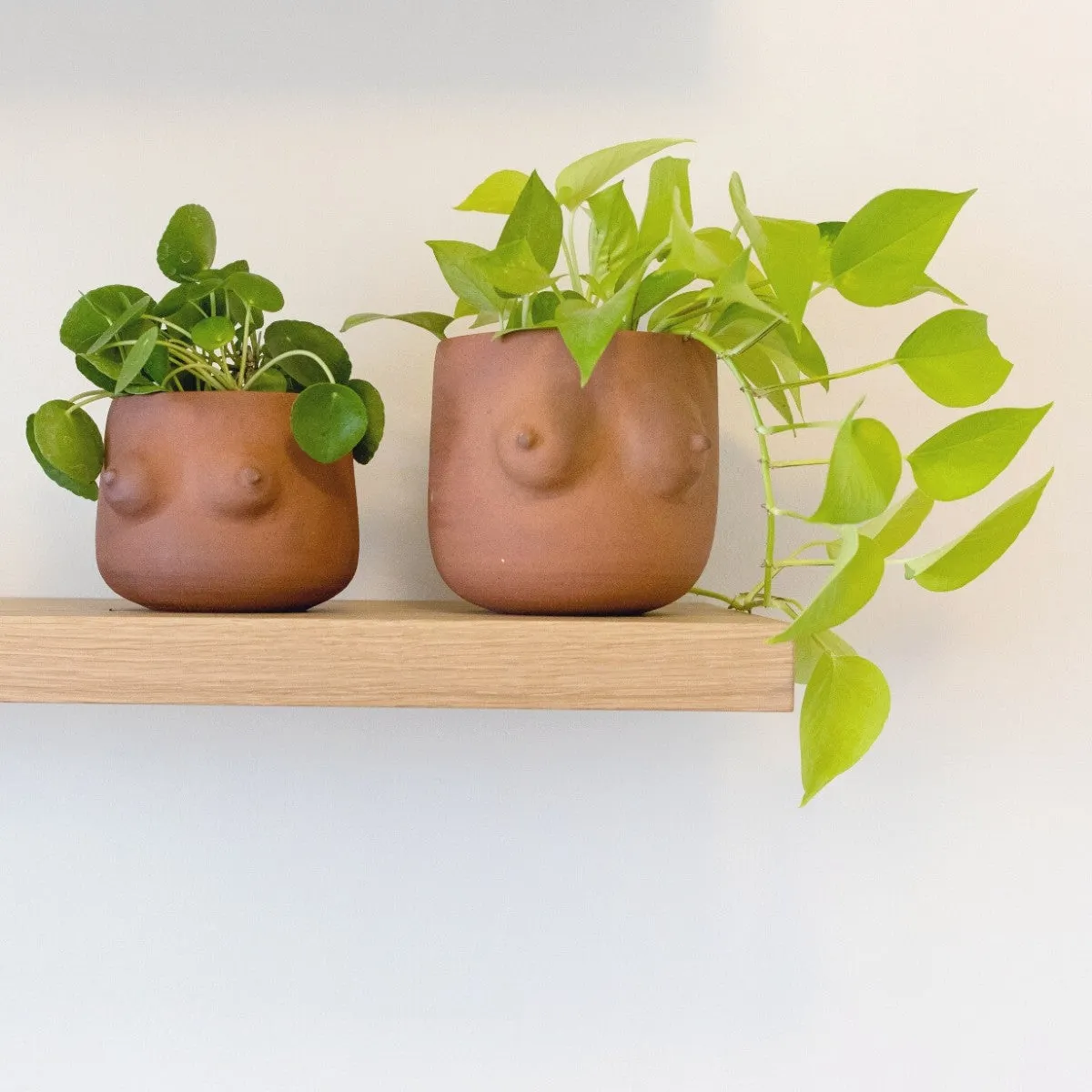 Boob Planter - Terracotta