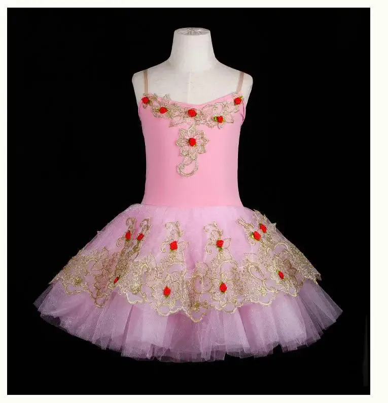 Girls Ballet Skirt Long Dance Dress Performance Costume Ballerina Dress