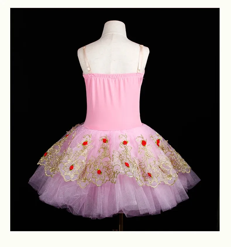 Girls Ballet Skirt Long Dance Dress Performance Costume Ballerina Dress